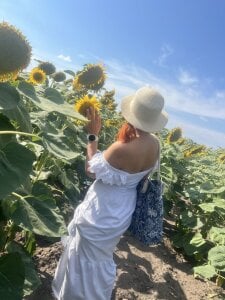 VikisLav Public Billede 2