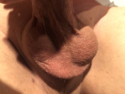 Public od PetTwo  9 snímek