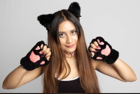 amatista_katzennAmatista Katzen cute Bild 3