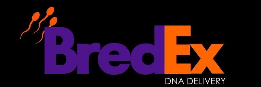 vegasboi70206 Pub Pic 3