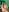 Mr_evan1 Naked and with a hard cock in green color 사진 4