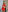 KimberlyWorld Charming Lady in Red Photo 4