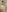 MzTastycakes MzJuicybootay shower plus cam night photos Pic