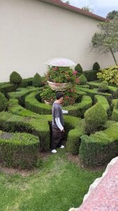 Yop de juaa_15  2 Imagens