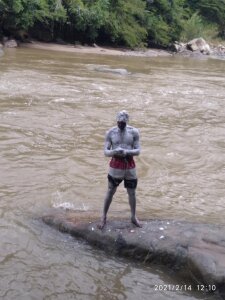 Public de sharpei  6 photos