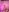 threesome_dolls#Striportreat照片 8