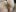 perfect_sweety_girl 25 nudes for nice price <3 Photo 7