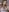 Anna_Six Cosplay pack Pic 2