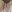 sassypro Hairy Pussy Foto  4