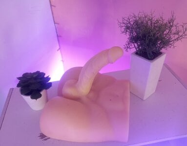 SweetRenata_ My toys Pic 3