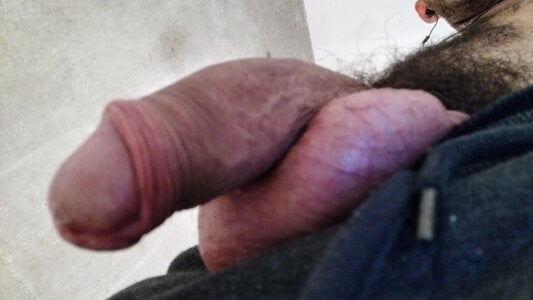 balabahiana Public Pic 2