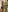 scarlett_sexx69 Christmas 2023 Pic 7