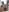adara_le Enjoy my vacation naked Pic