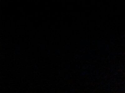 Pistacchio01 Public Pic 5