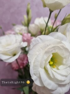 PrettieKate's Flowers Sex Photo 3