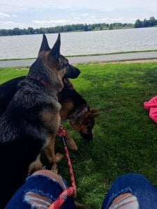 Big_Booty_Bonnie Public Pic 9