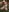GingerSnap33 Live Stream Photo Requests Pic 8