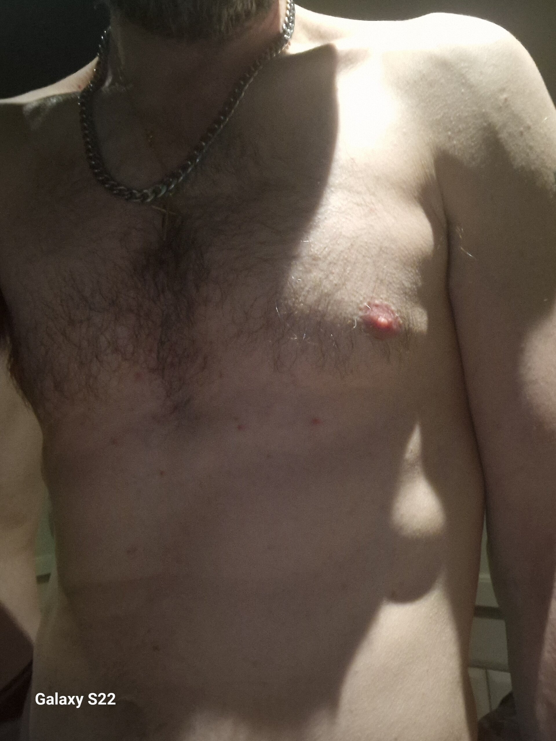 2026 de TheBellboy1978  Imagens