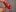 Mistress_Wilma Red heels and tights Pic 9