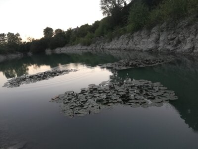 dondadda4200 Aonb - Area of Outstanding Natural Beauty Pic 2