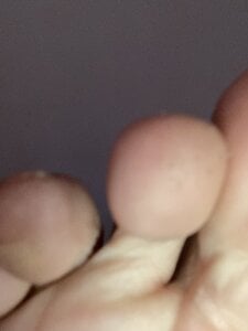 Bellovelludo Tu velludo Poză