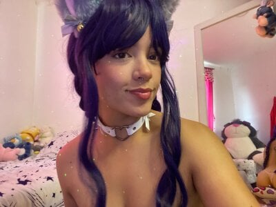 milita_houstonmiau Bild 2