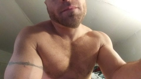 lilpervt D PEES Hình 9