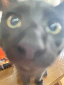 Gxhmelx-xiaoxiao 调皮捣蛋❤️ Pic 3