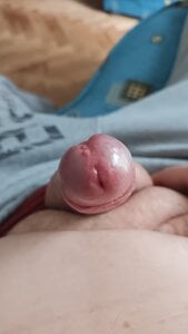 SugaryFinder1 Public Hình 2