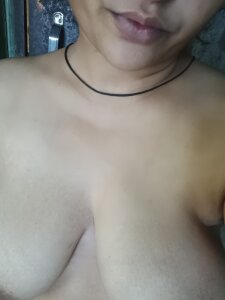 Public de shvetahot  Imagens