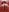 NatalieRose_ red lingerie Photo 4