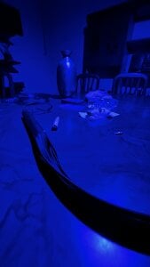 Petebulimia Public Bilde 3