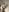 Melljoy naked Pic