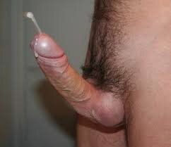 camone11@xh cum Pic 2