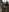 gunter_meiner Forest adventure 사진 6