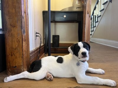 Public de CowboyZuhly  9 photos