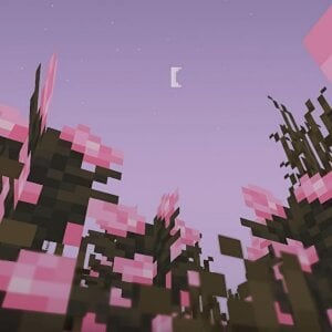 Persia_09 ❤️ Gambar