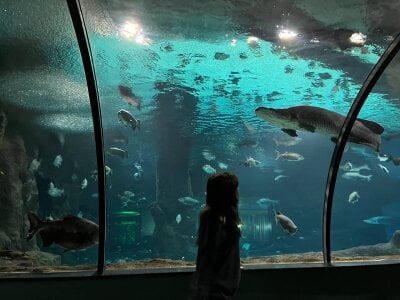 ReneeLippeatt Depths of the Ocean Pic 5