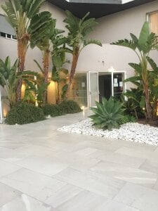 Bela de baipal74  2 Imagens