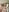 Alyshanon18 Naked Pic 3
