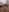 giganticpie_indian Nude dick pics Pic