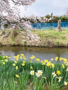 HinaLovely My life Foto 7