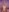 madelinexx 🌸 Pic 4