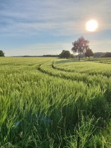 Cicciobello033 kullanıcısının Public albümü -  4 fotoğraf