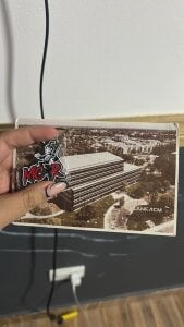 CinnamonCookiez My chemical romance concert Pic 7