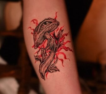 Agarycus_Mdls🍄 my tattoo 🍄照片