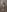 Alisha_Shy Alisha takes a shower after the streams💦🫦 Pic 5