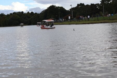 DanniG2000_ 🏞️ 🪿🌿🍃✨️ Pic 7