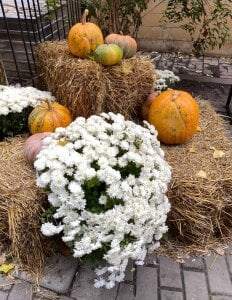 Halloween vibe 🎃 de pure_radiance1  Imagens