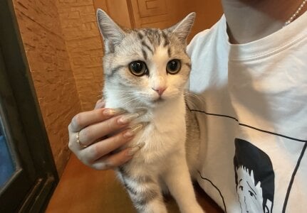 -sanhuamao- 家庭成员 사진